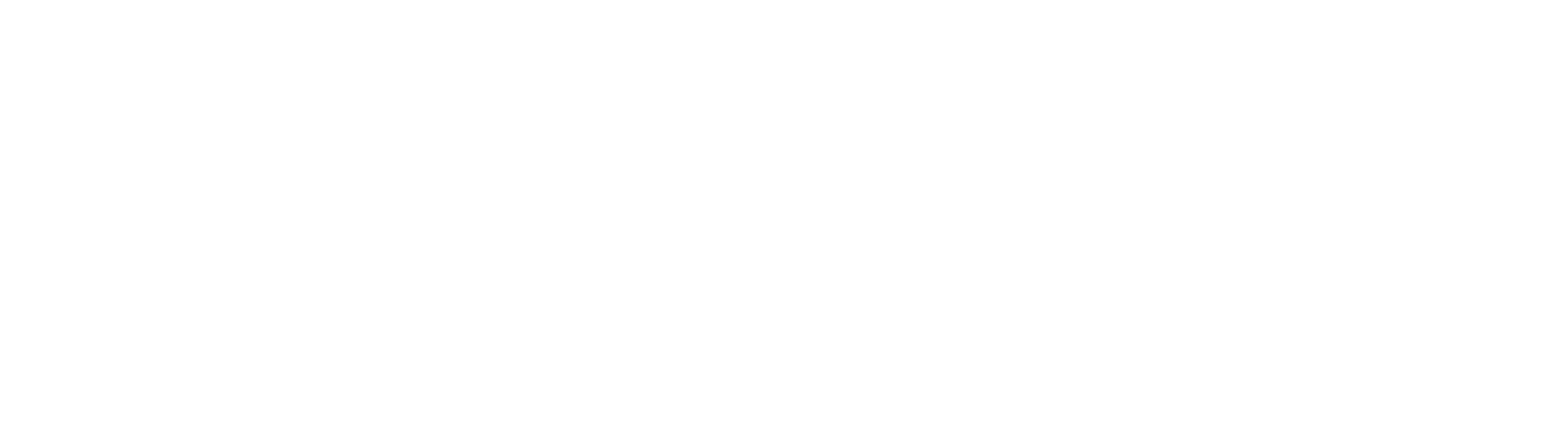 Deepversive logó és felirat, fehér változat